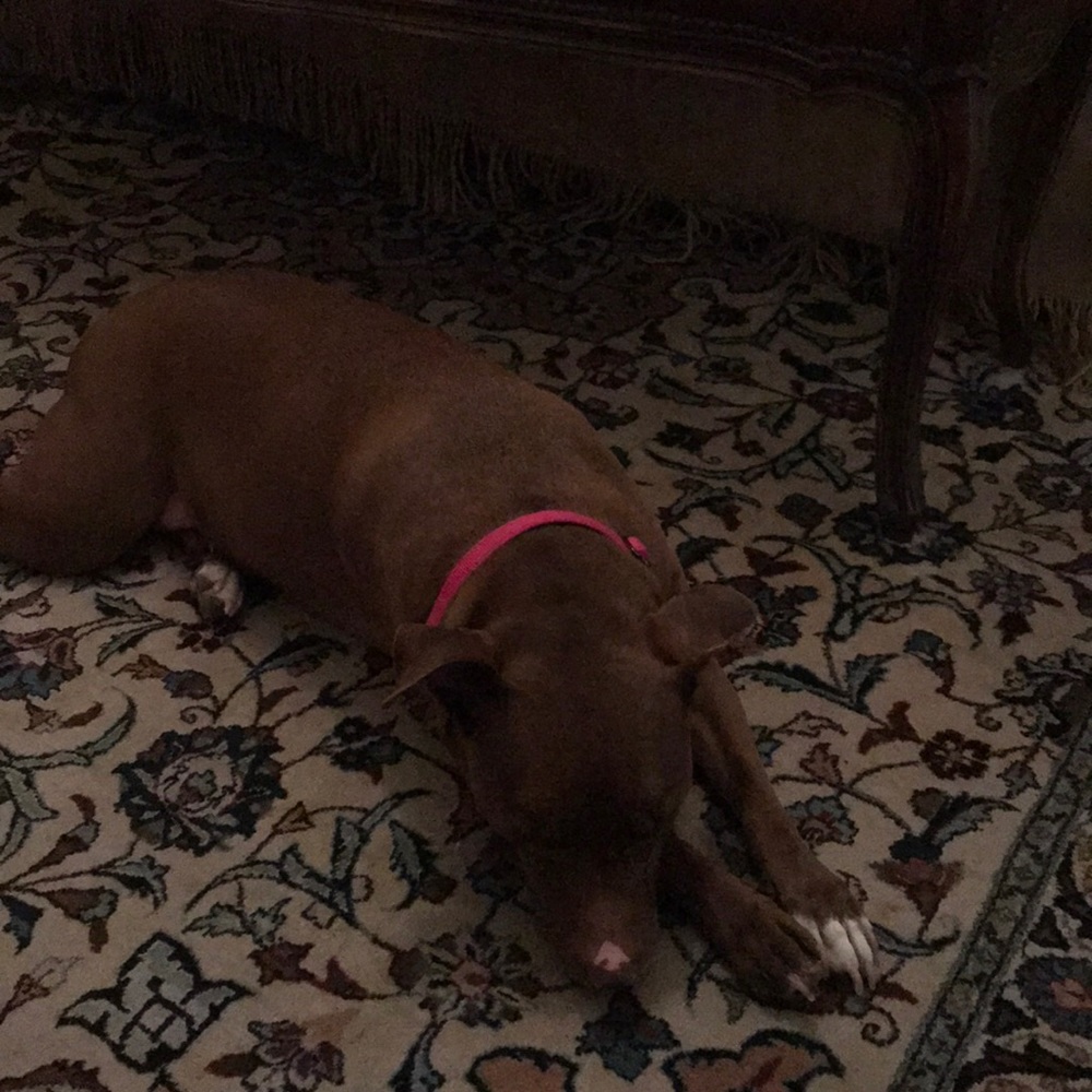 Meet your Posher, Jena